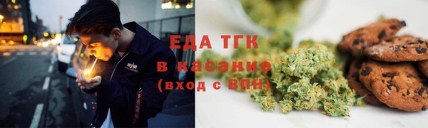 амф Гусь-Хрустальный