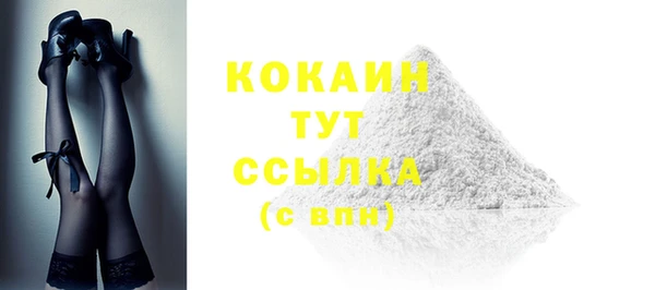 гидропоника Гусиноозёрск