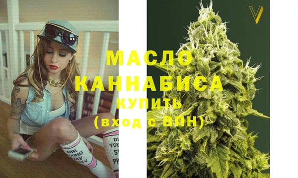 амф Гусь-Хрустальный
