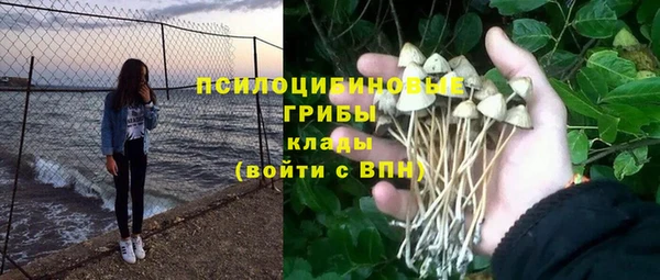 амф Гусь-Хрустальный
