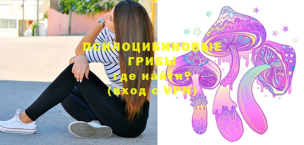герыч Дмитриев