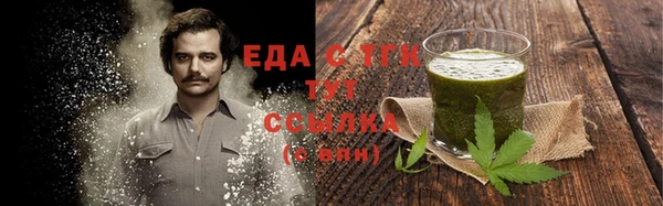 амф Гусь-Хрустальный