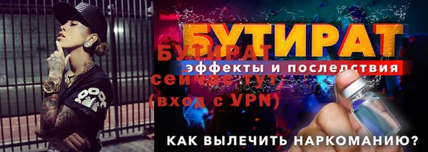 амф Гусь-Хрустальный
