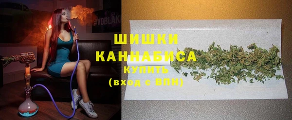 амф Гусь-Хрустальный