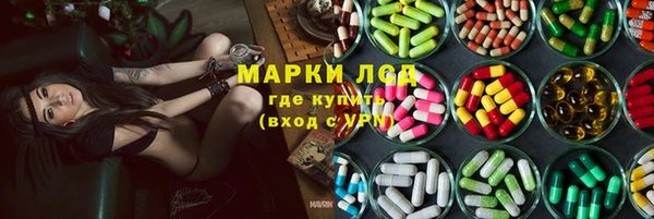 гидропоника Гусиноозёрск