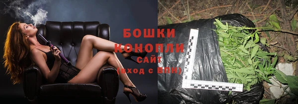 гидропоника Гусиноозёрск