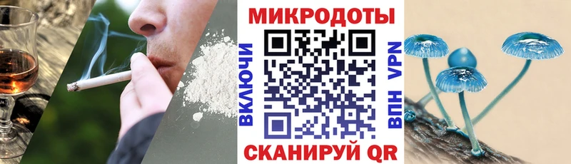 Псилоцибиновые грибы Cubensis  Игарка 